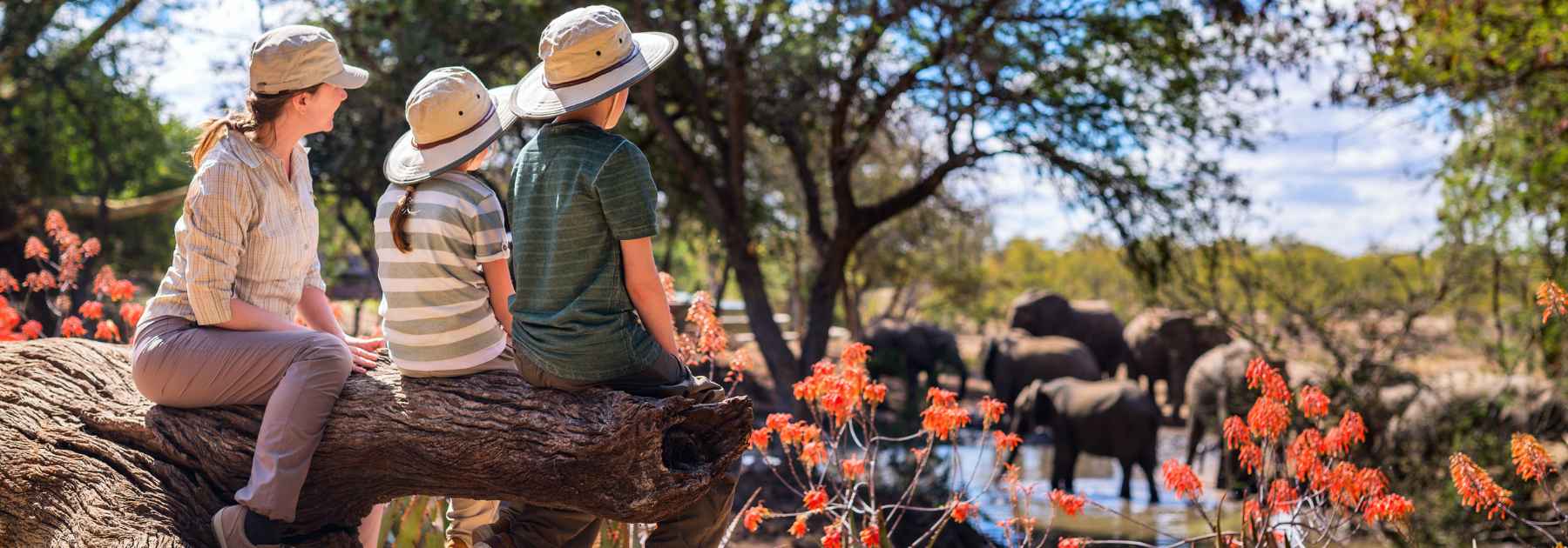 travel vaccines blackburn